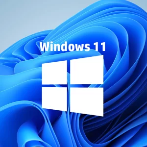 Microsoft Windows 11 Pro