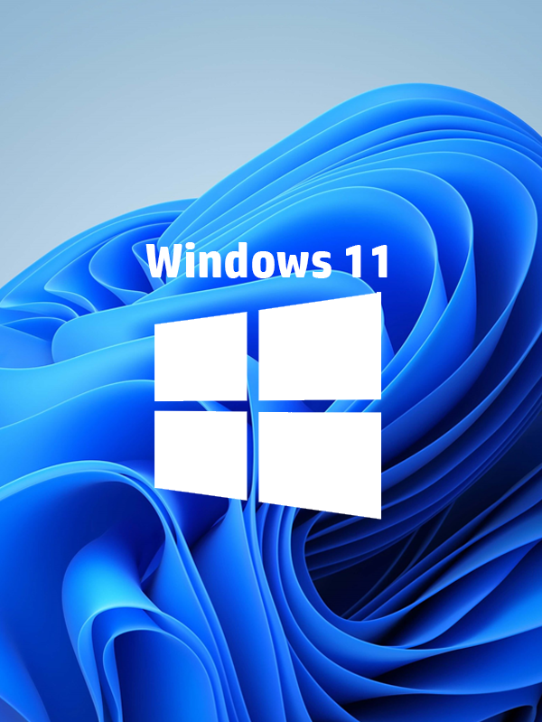 Microsoft Windows 11 Pro